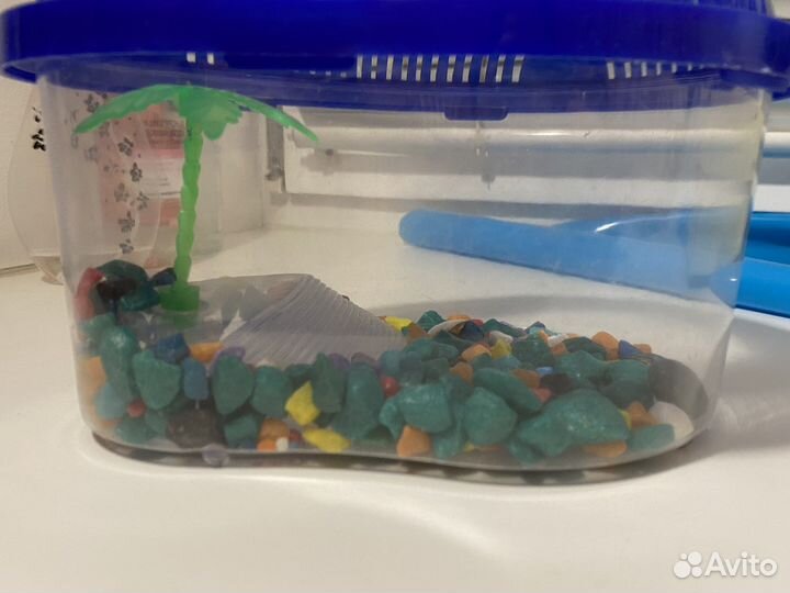 Аквариум-переноска