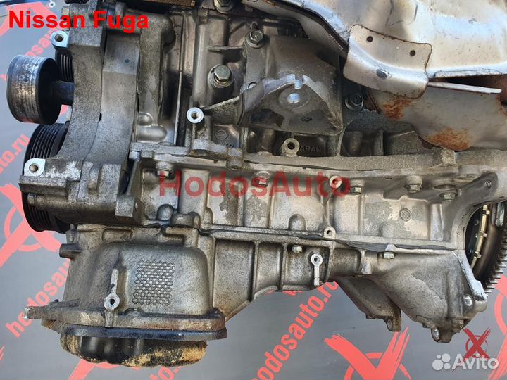 Двигатель VQ35HR Nissan Fuga
