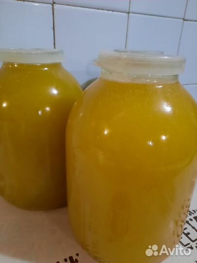 Мед подсолнечный