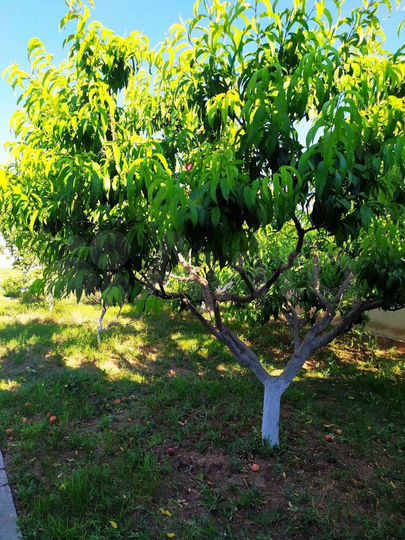 Дача 87 м² на участке 6,5 сот.