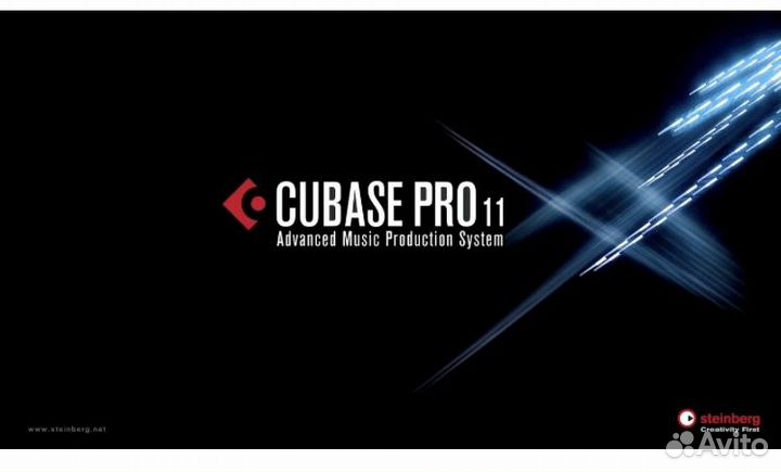 Cubase 11 pro