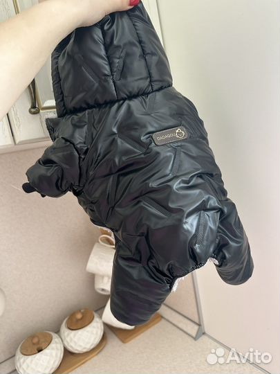 Одежда для собак