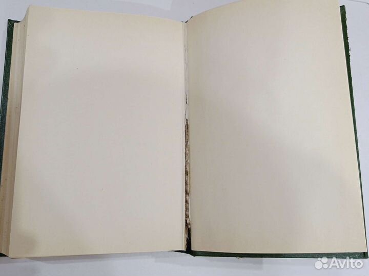 Р.И.Шредер Русский огород, питомник и плодовой сад