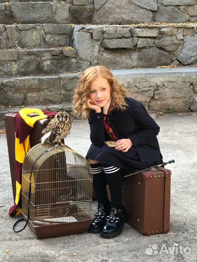 Сова для фотосессий