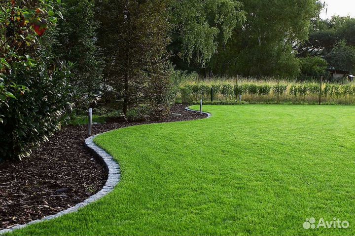 Рулонный газон /продажа/укладка