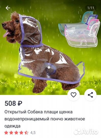 Дождевик для мелкой собаки