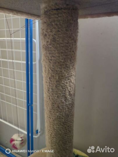 Домик когтеточка