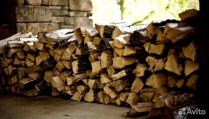 Подсушенные дрова