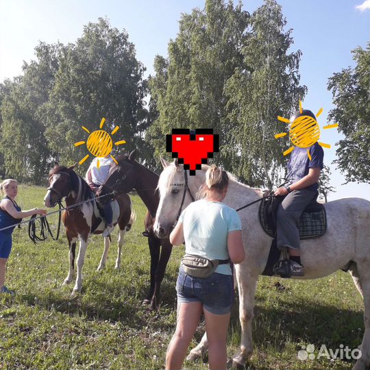 Конные прогулки