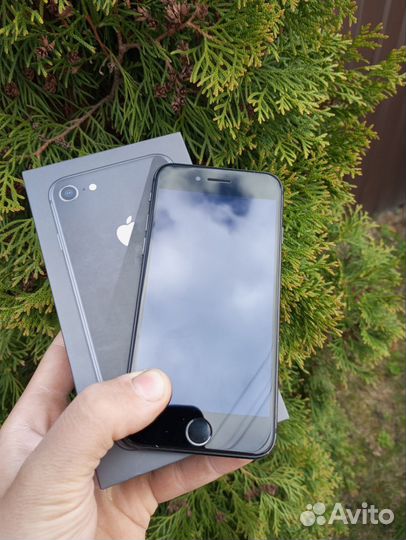 iPhone 8, 64 ГБ