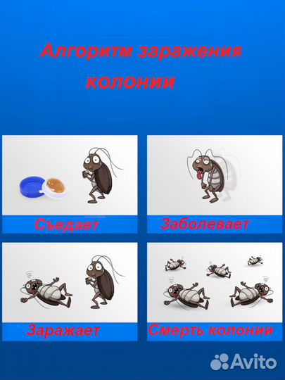 Гель от тараканов