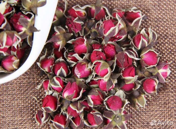 Чайная роза