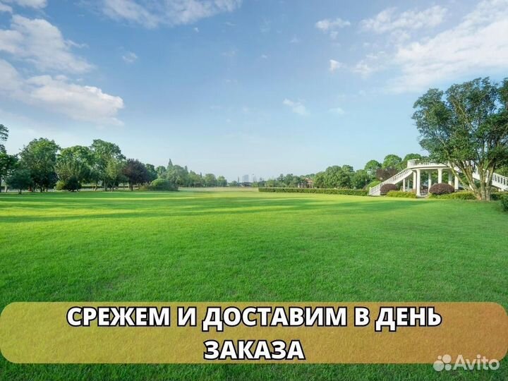 Продажа рулонного газона под ключ