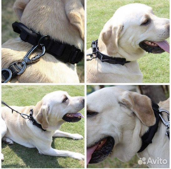 Ошейник для собак средних и крупных пород