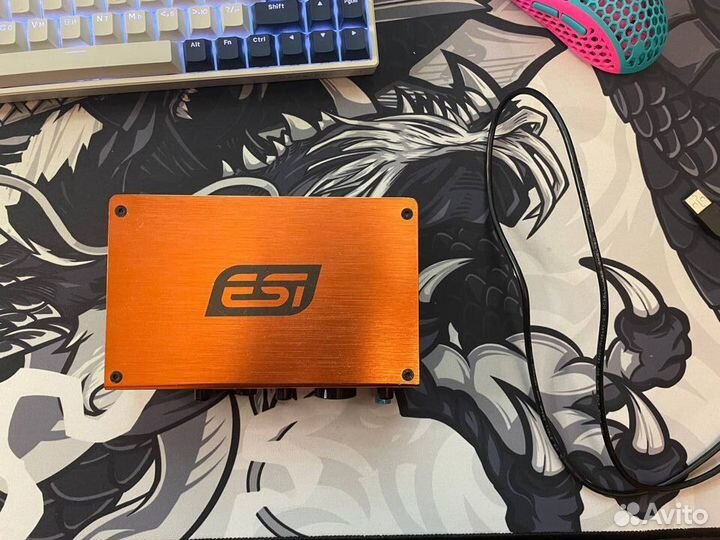 Внешняя звуковая карта esi u22xt