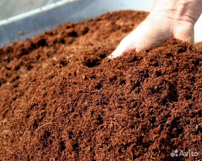 Торф под голубику