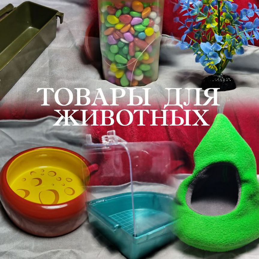 Товары для животных грызуны, рыбы, птицы