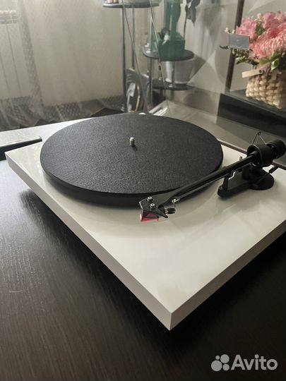 Pro-Ject Debut Carbon EVO