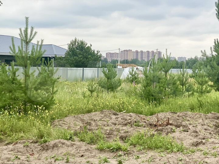 Участок 6 сот. (ИЖС)