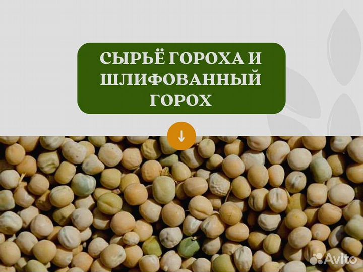 Горох с поля (сырье) (кг)