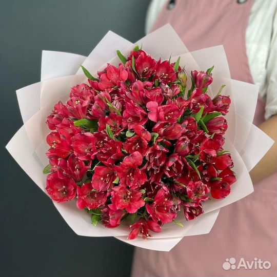 Букет из 21 красной альстромерии
