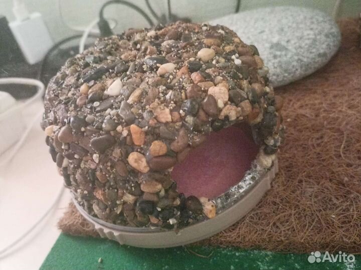 Дом для гекона эублефара