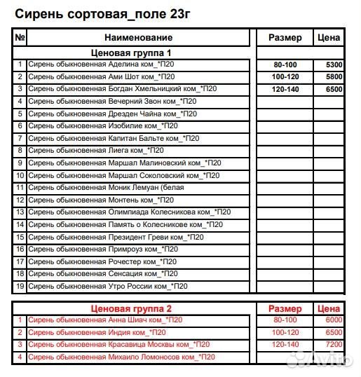 Сирени крупномеры, 23 сорта