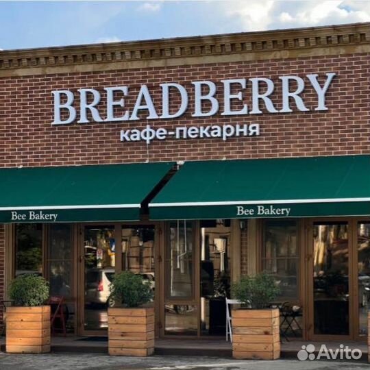 Бармен бариста