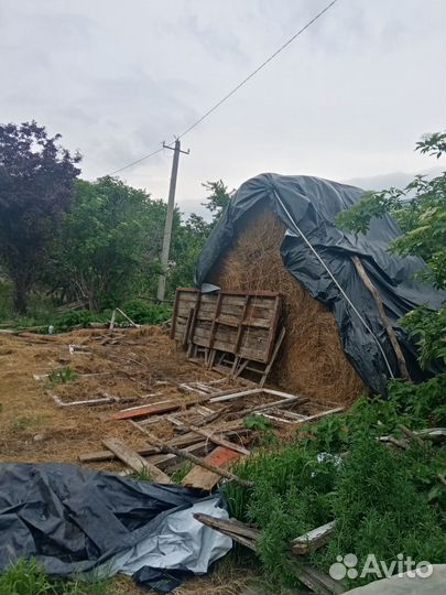 Сено в тюках