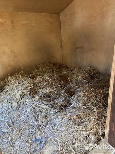 Будка для собаки утепленная