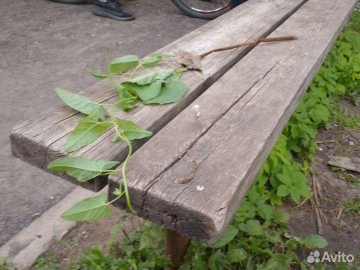 Палка Гарри поттера