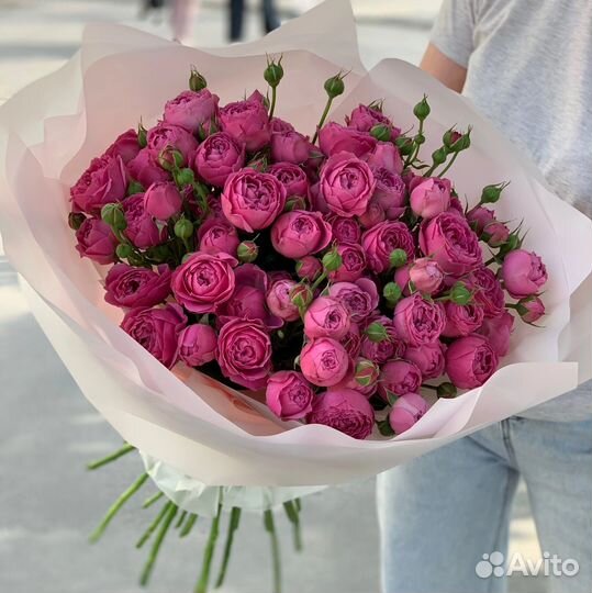 Кустовая пионовидная роза, сортовая роза