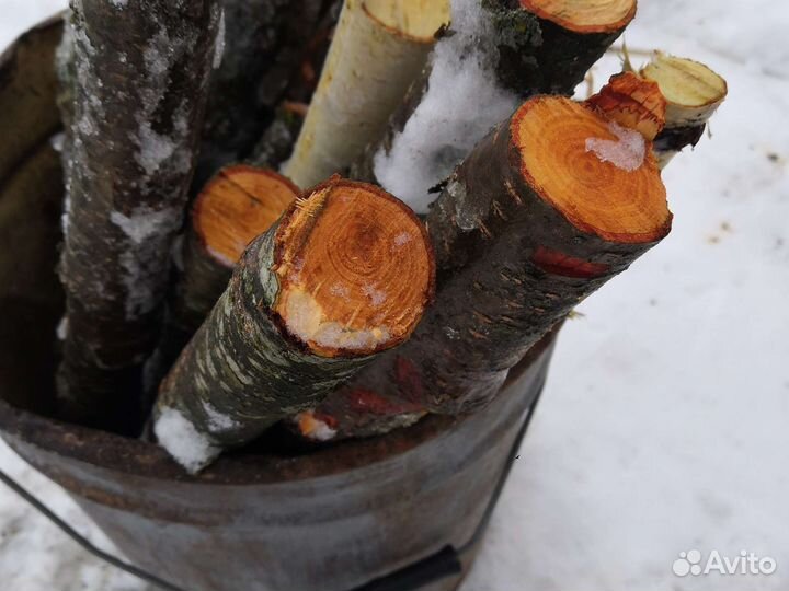 Опилки ольхи для копчения