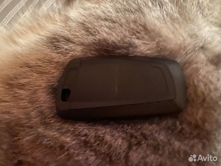 Ключ Bmw F25 F26 синий USA