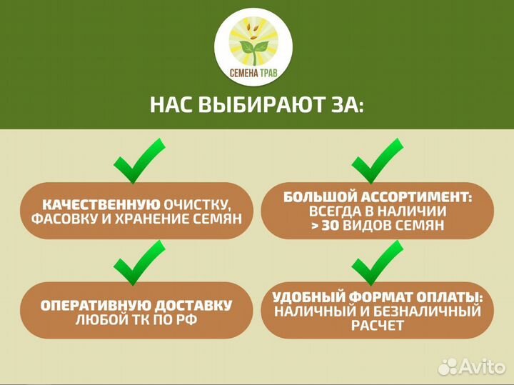 Семена газонной травы (Дания) robustika