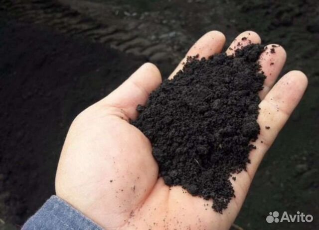 Земля чернозем