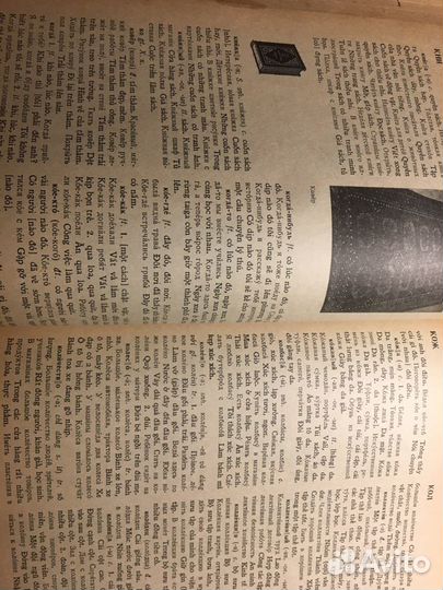 Русско-вьетнамский словарь