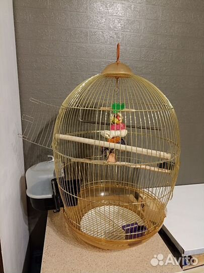 Клетка для попугая