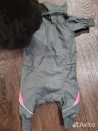 Одежда для собачки