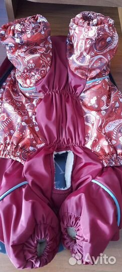 Одежда для собак