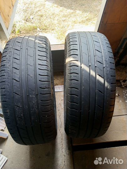 Royal Black Royal Performance 205/55 R16