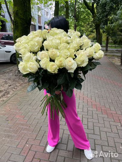 Букет из 49 роз