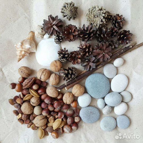 Материалы для поделок (набор шишек 100 штук)