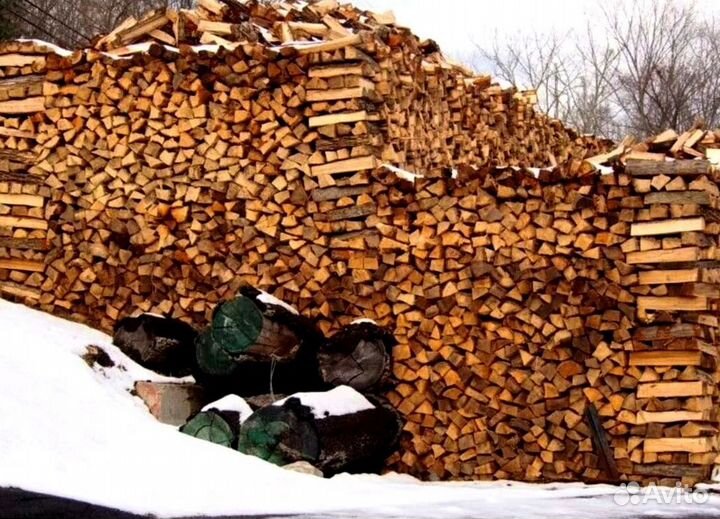 Дрова сегодня