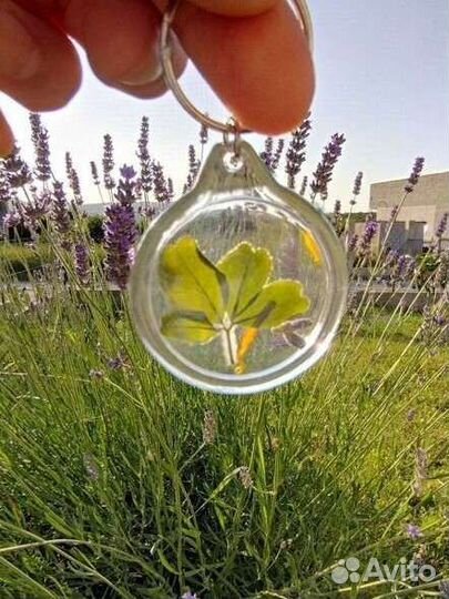 Амулет на удачу клевер четырёх и пятилистный