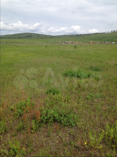 Участок 10 сот. (СНТ, ДНП)