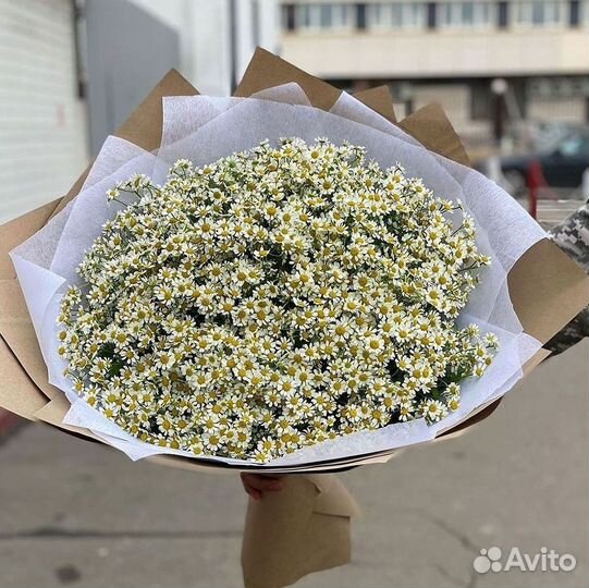Ромашки Букет из ромашек доставка