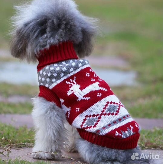 Свитер для собаки