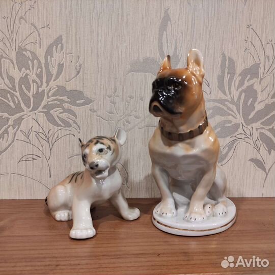 Собака и тигренок