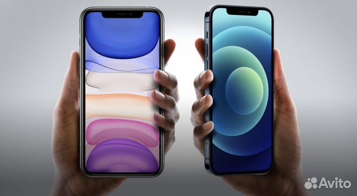 Стекло на ipone 11/xr premium